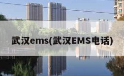 武汉ems(武汉EMS电话)