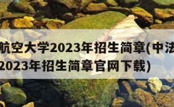 中法航空大学2023年招生简章(中法航空大学2023年招生简章官网下载)