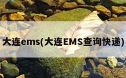 大连ems(大连EMS查询快递)